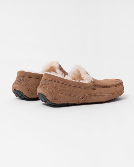UGG Ascot Mens Slipper - Chestnut