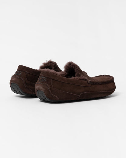 UGG Ascot Mens Slipper - Dusted Cocoa