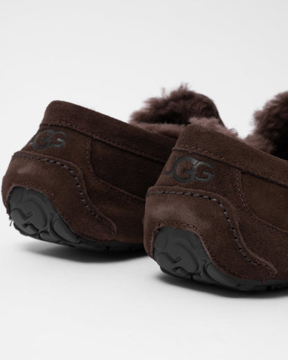 UGG Ascot Mens Slipper - Dusted Cocoa