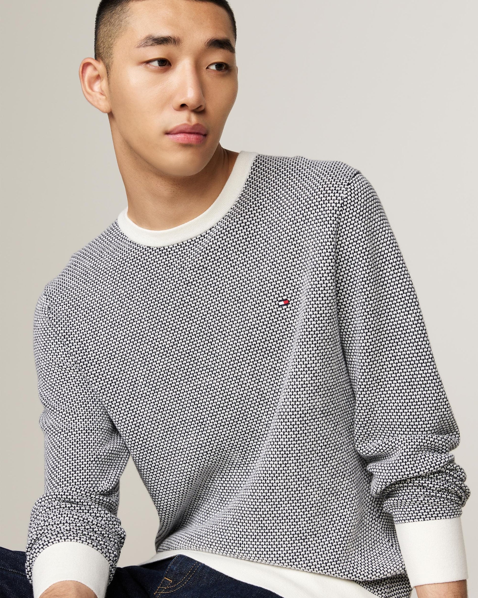 Tommy Hilfiger Tommy Hilfiger Pima 2 Tone Mens Jumper