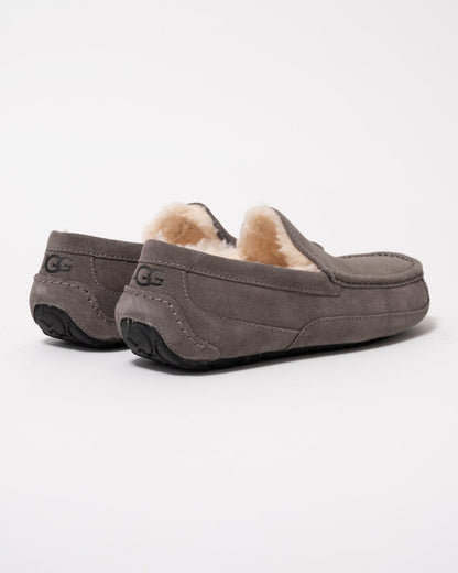 UGG Ascot Mens Slipper - Grey