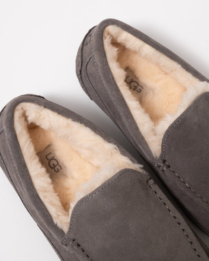 UGG Ascot Mens Slipper - Grey
