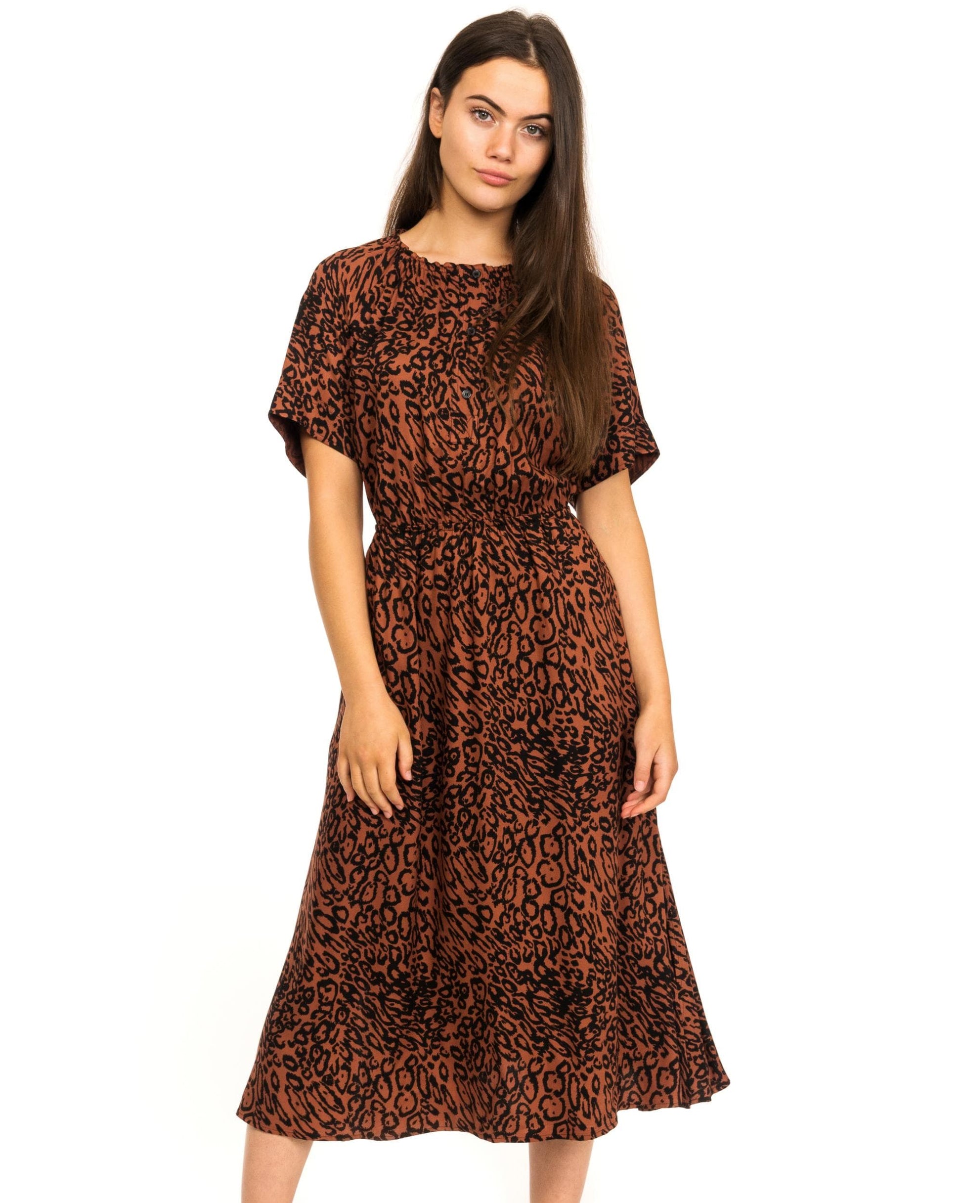 calvin klein printed midi dress CALVIN KLEIN Jungle Print Short Sleeve Sheath Dress, Size 8 in Jungle Multi