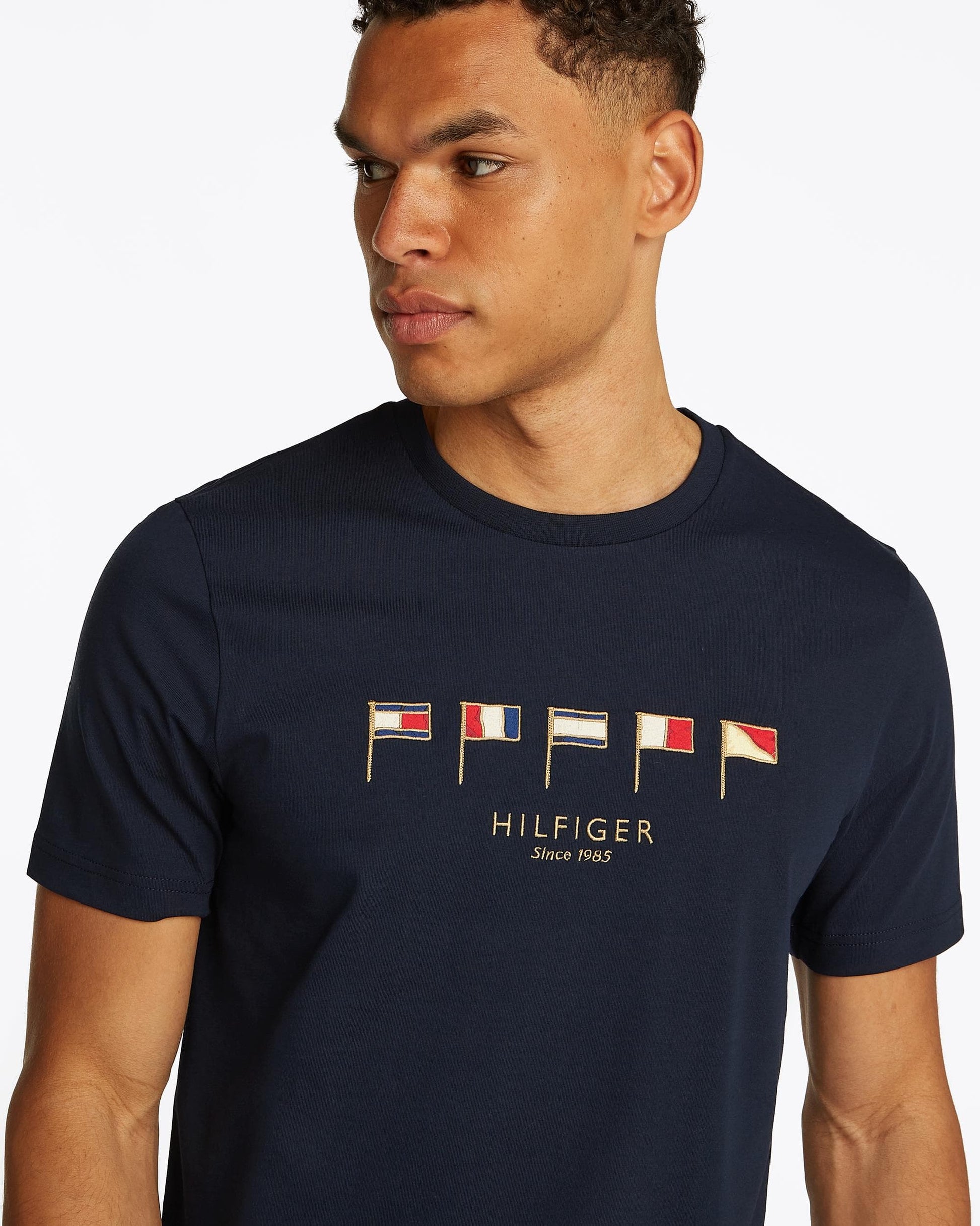 Tommy Hilfiger Tommy Hilfiger Multi Flags Mens T Shirt