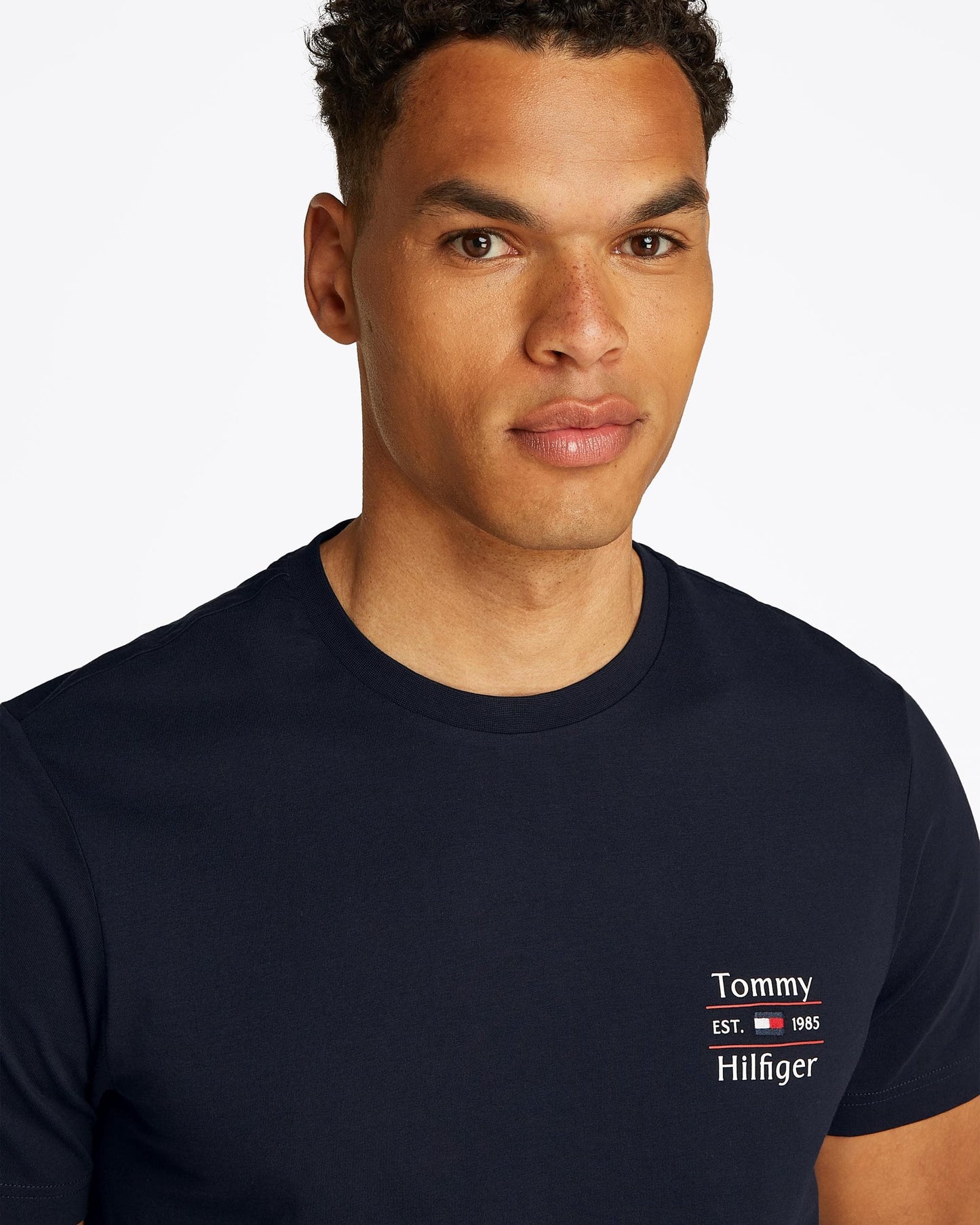 Tommy Hilfiger Stack Mens T Shirt - Desert Sky