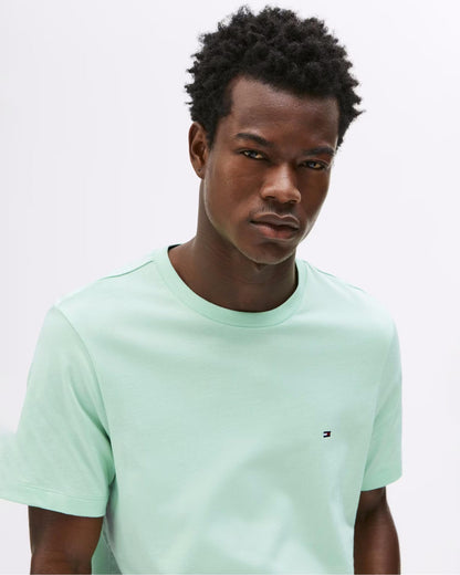 Tommy Hilfiger Essential Seasonal Regular Fit Solid Mens T-Shirt - Opal Green