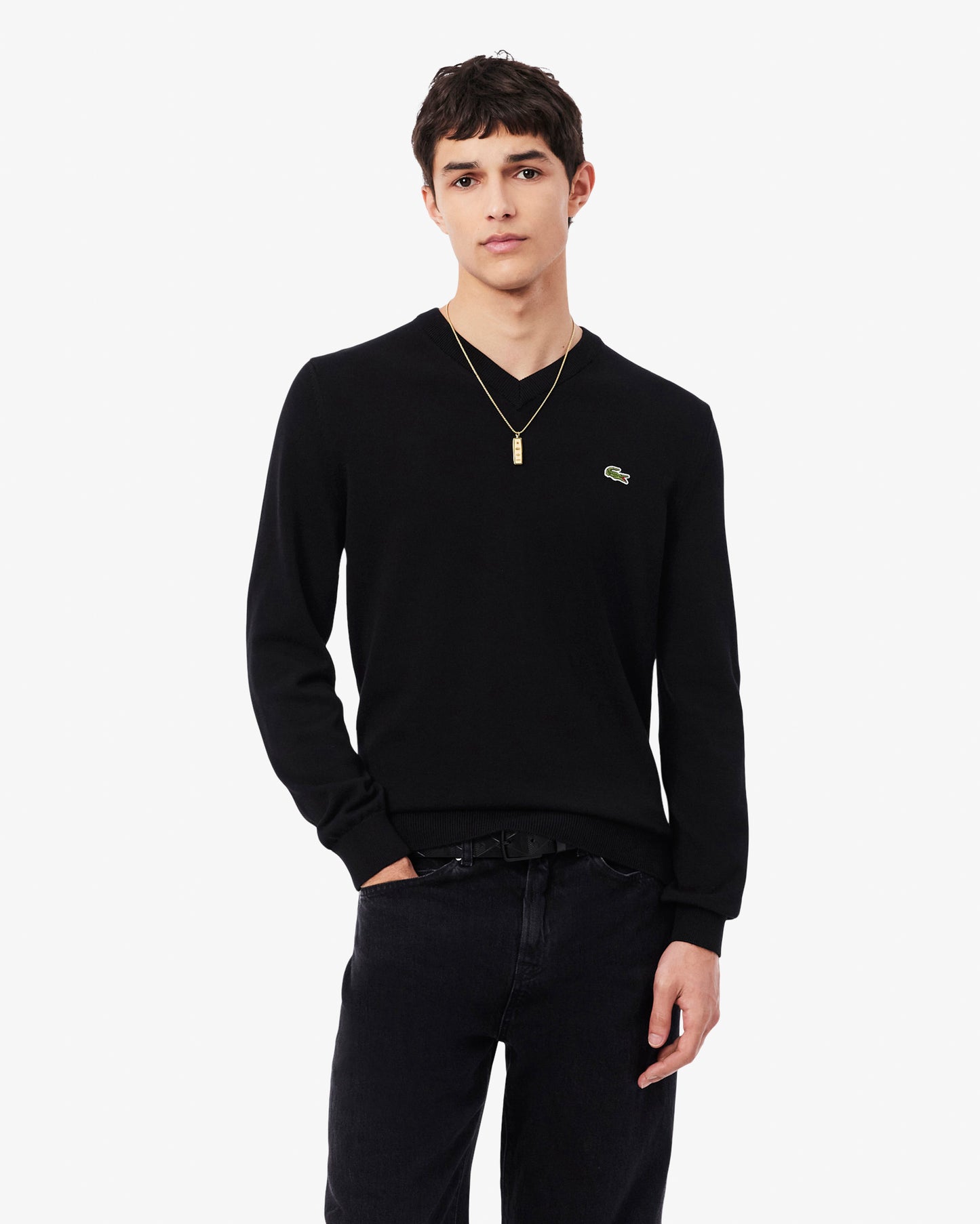 Lacoste Monochrome Jersey Mens V Neck Sweater - Black 031 | CHO | Designer Mens Sweatshirts