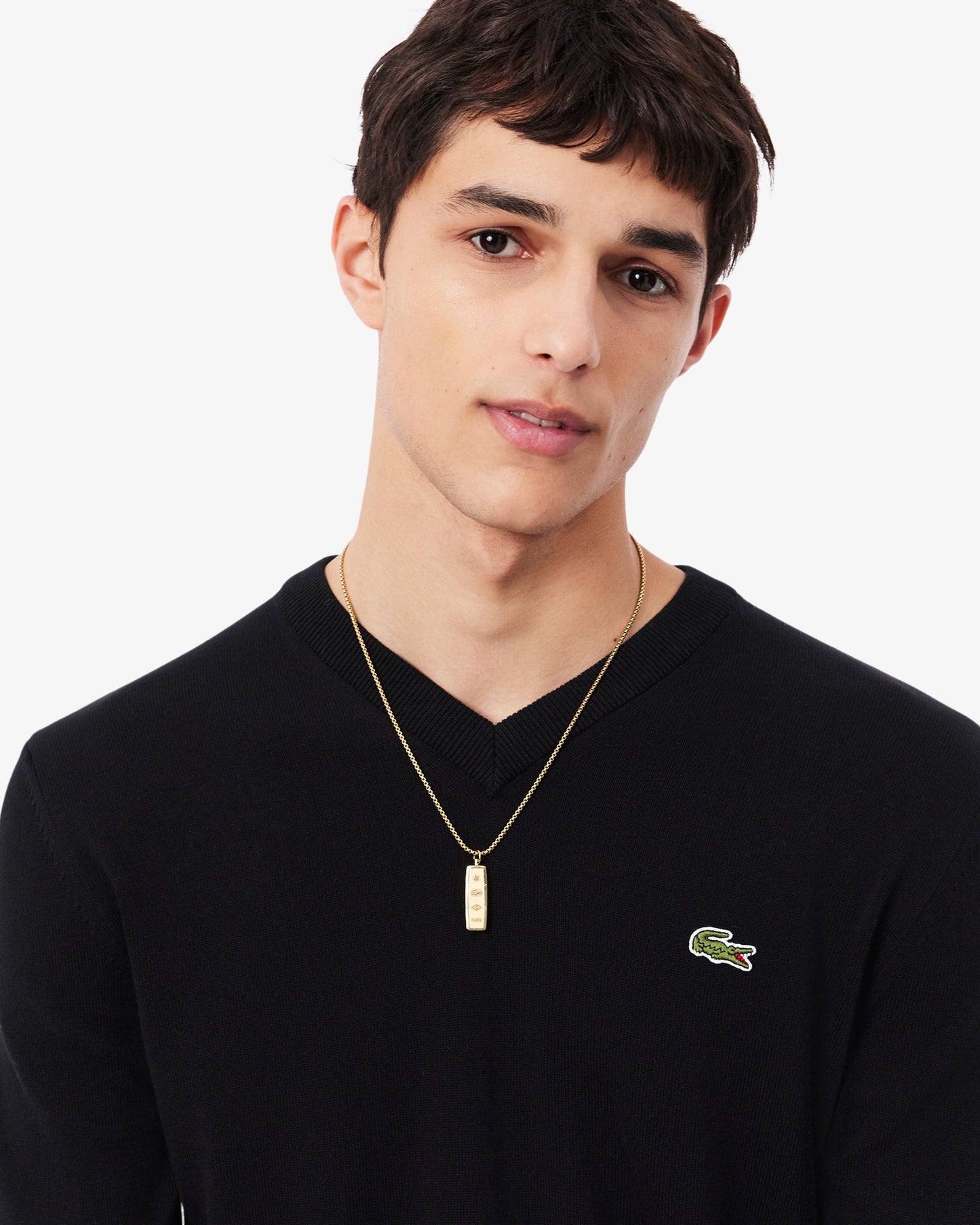 Lacoste Monochrome Jersey Mens V Neck Sweater - Black 031 | CHO | Designer Mens Sweatshirts