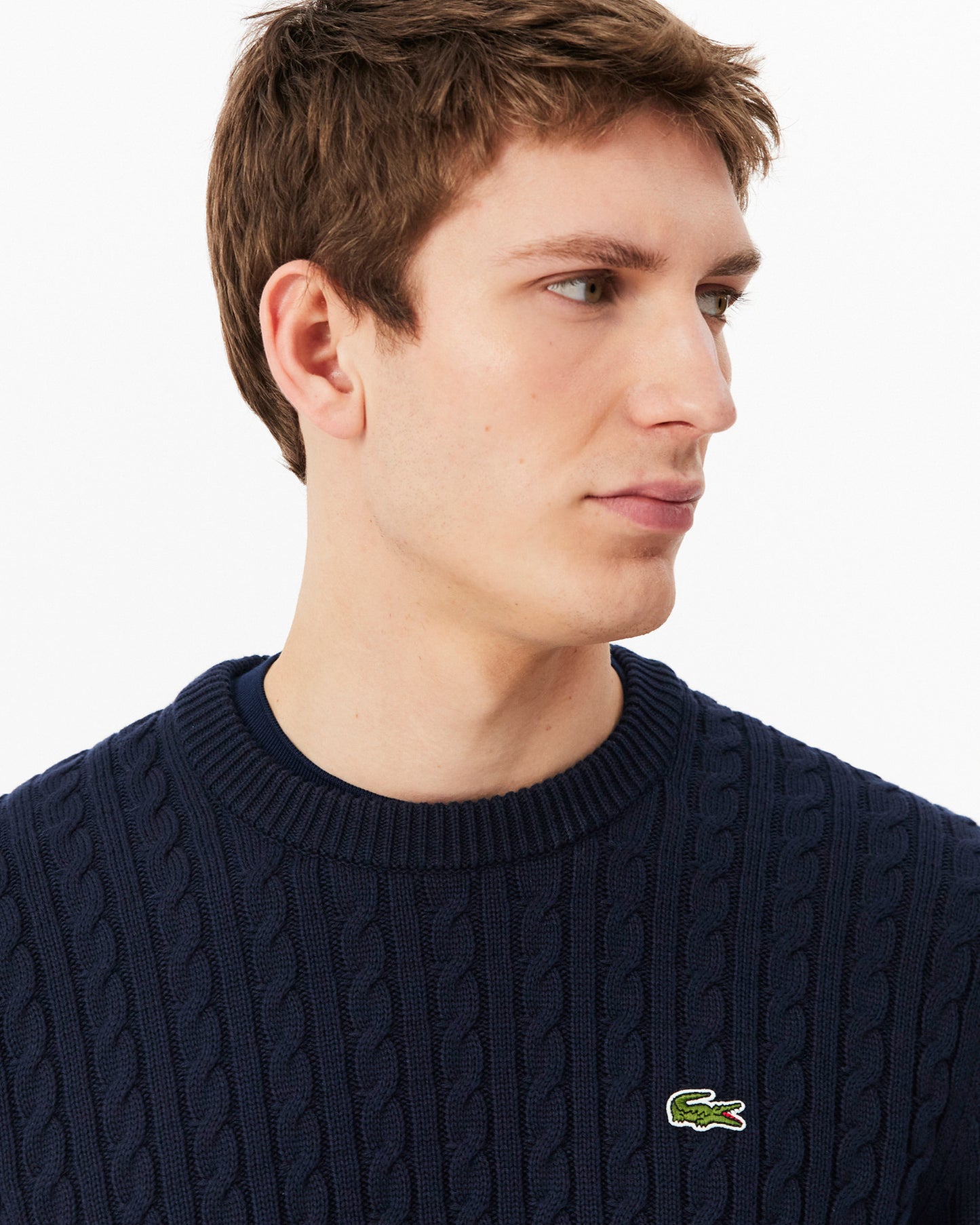 Lacoste Cable Knit Mens Cotton Jumper - Navy Blue/Green 802