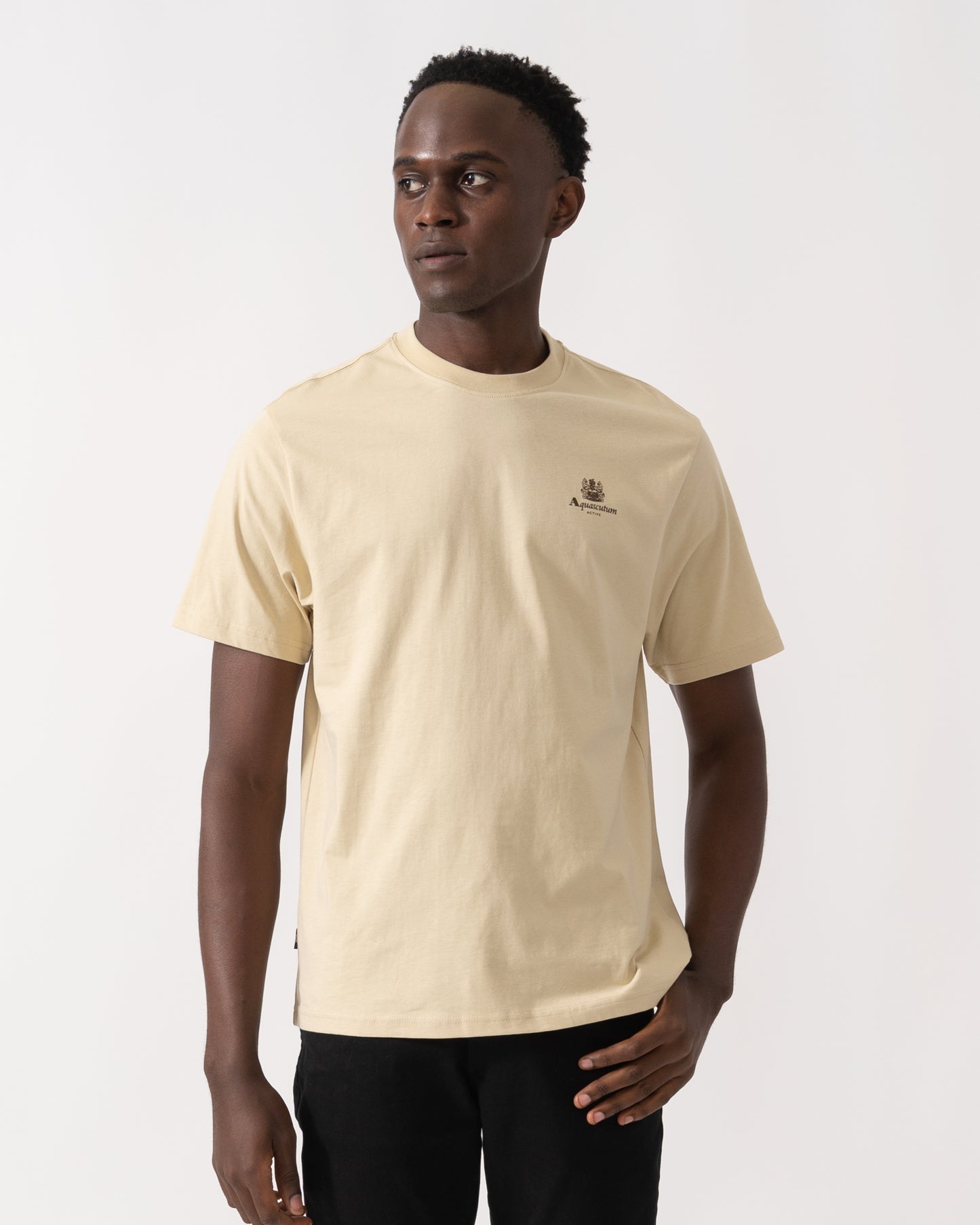 Aquascutum Mens Small Logo T-Shirt - Beige 03