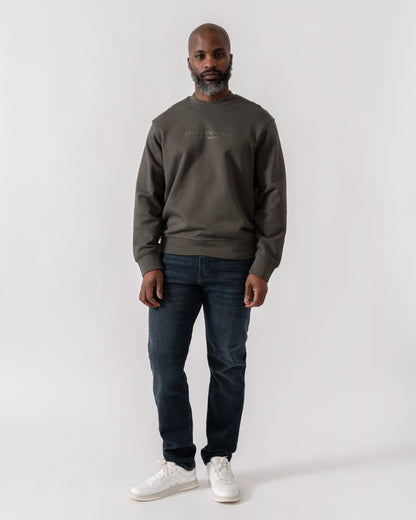 Model wearing Armani Exchange Mens Crew Neck Sweatshirt with Tonal Milano/New York Logo in Chimera M8317 - Full Length