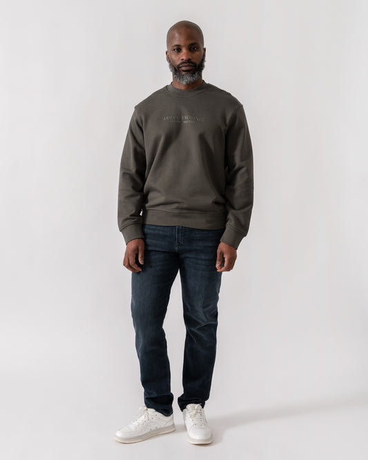Model wearing Armani Exchange Mens Crew Neck Sweatshirt with Tonal Milano/New York Logo in Chimera M8317 - Full Length