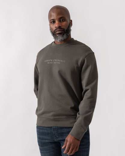 Model wearing Armani Exchange Mens Crew Neck Sweatshirt with Tonal Milano/New York Logo in Chimera M8317 - Main