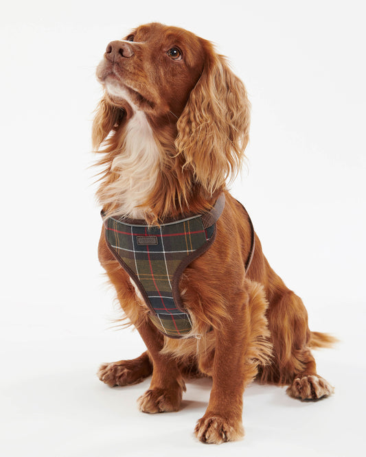 Barbour Travel And Exercise Dog Harness - Classic Tartan | CHO | Designer Dog Harnesses