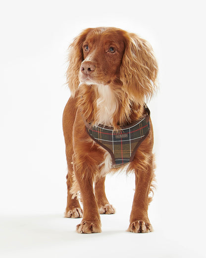 Barbour Travel And Exercise Dog Harness - Classic Tartan | CHO | Designer Dog Harnesses