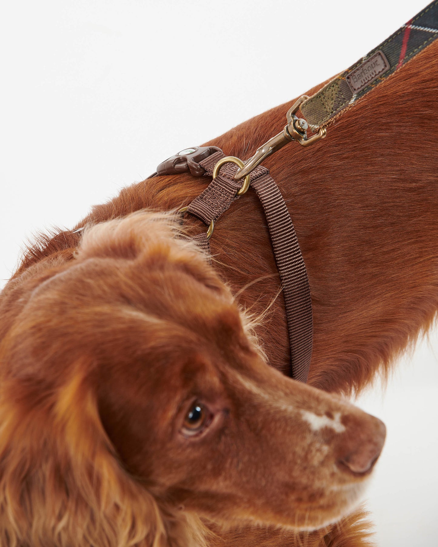 Barbour Travel And Exercise Dog Harness - Classic Tartan | CHO | Designer Dog Harnesses