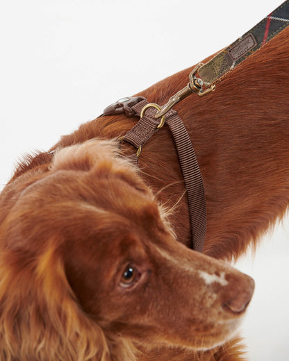 Barbour Travel And Exercise Dog Harness - Classic Tartan | CHO | Designer Dog Harnesses