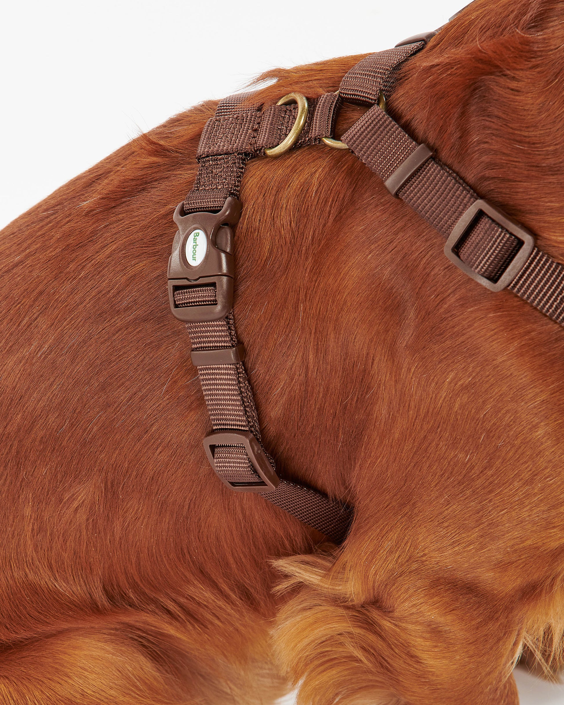 Barbour Travel And Exercise Dog Harness - Classic Tartan | CHO | Designer Dog Harnesses