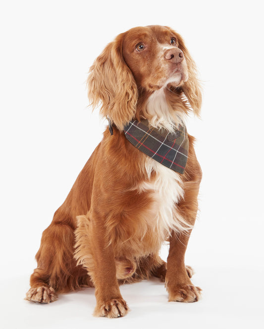 Barbour Tartan Dog Bandana - Classic Tartan | CHO | Designer Dog Bandanas