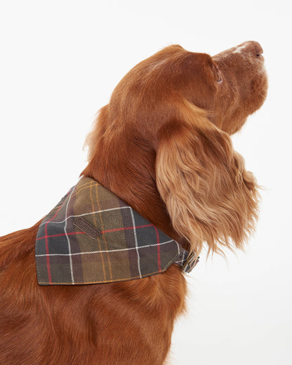 Barbour Tartan Dog Bandana - Classic Tartan | CHO | Designer Dog Bandanas