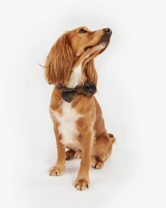 Barbour Dog Bow Tie - Classic Tartan | CHO | Designer Dog Bow Tie