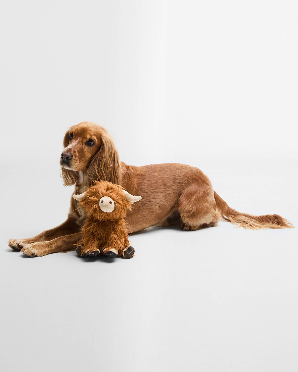 Barbour Highland Cow Dog Toy - Brown/Classic | CHO | Designer Unisex Pet Accessories