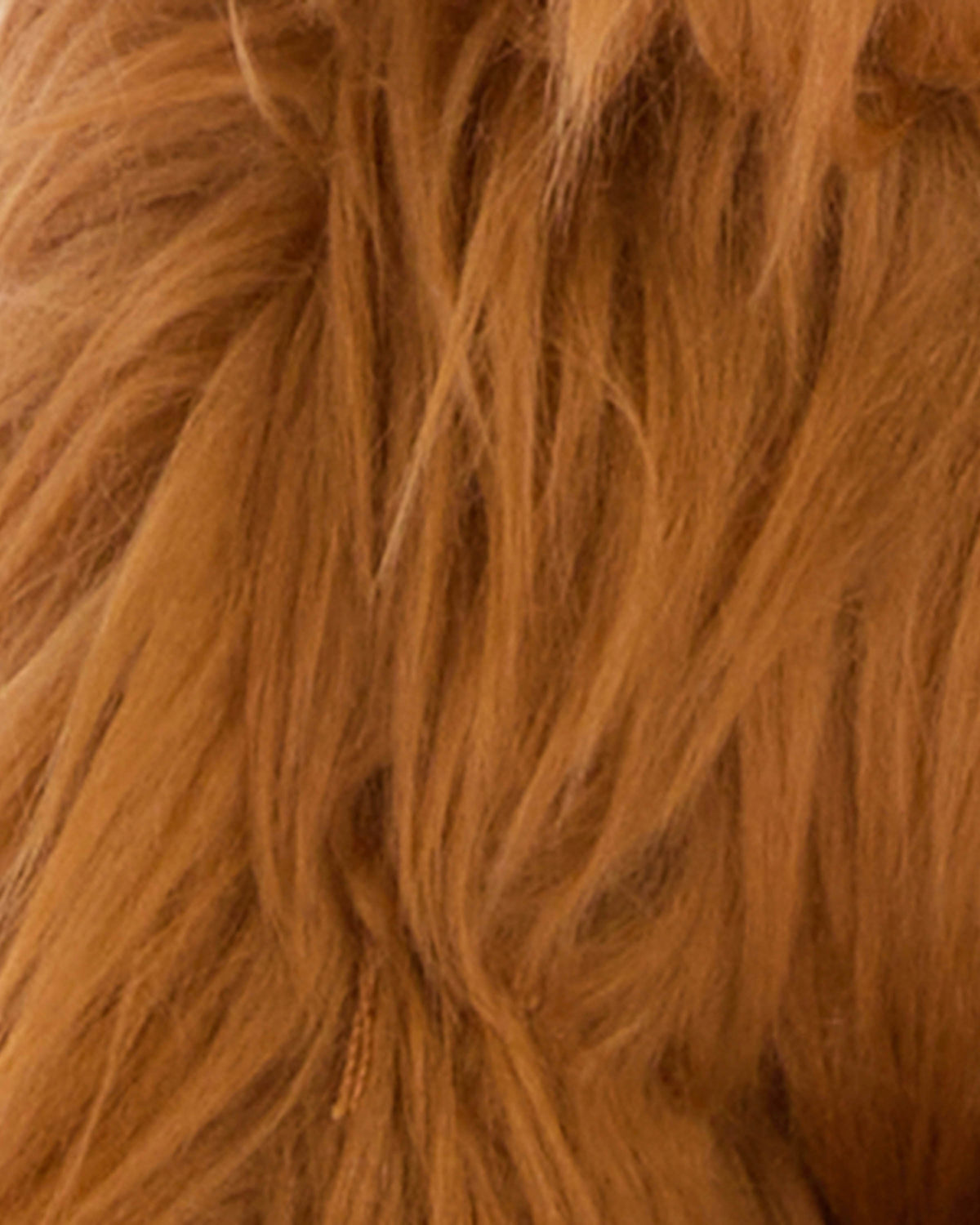 Barbour Highland Cow Dog Toy - Brown/Classic | CHO | Designer Unisex Pet Accessories