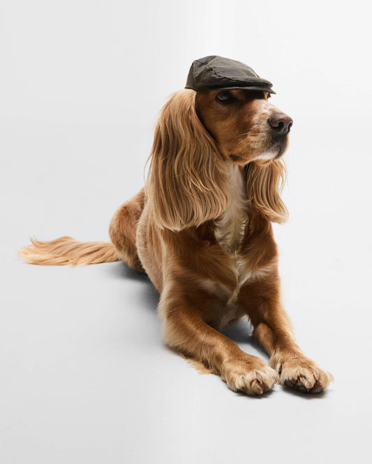 Barbour Dog Wax Flat Cap - Olive | CHO | Designer Dog Flat Cap