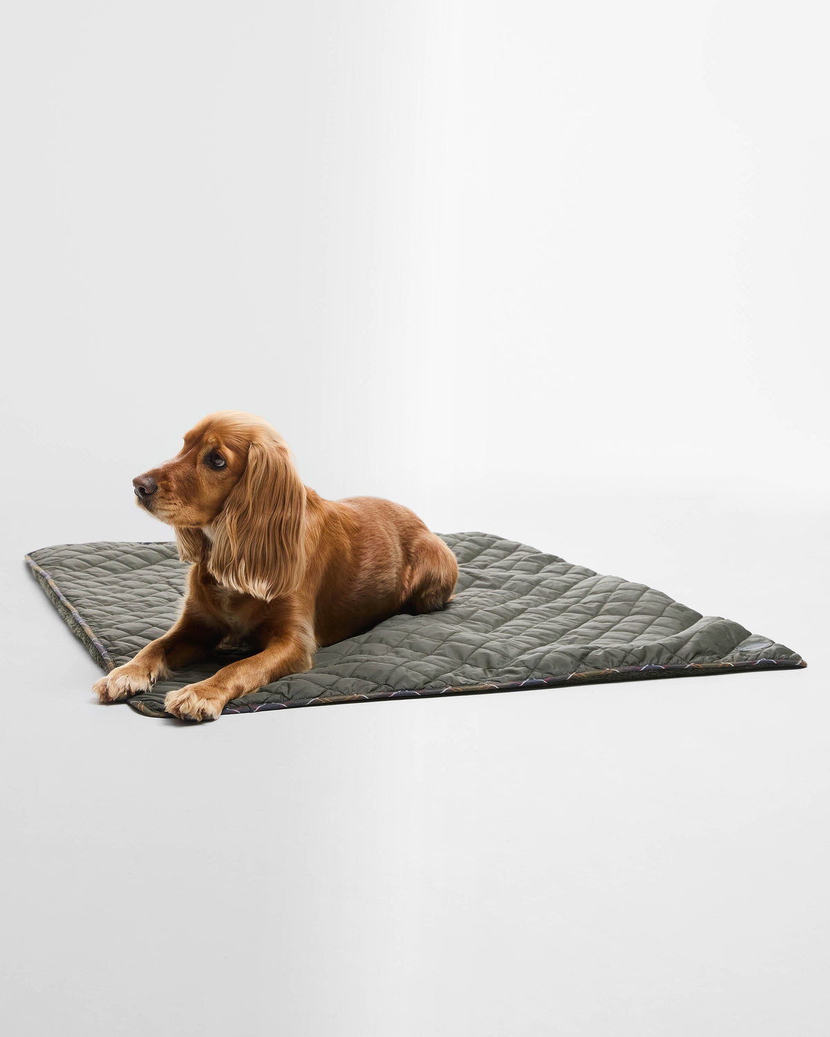 Barbour Dog Quilt & Fleece Blanket - Olive - CHO - Designer Unisex Pet Accessories