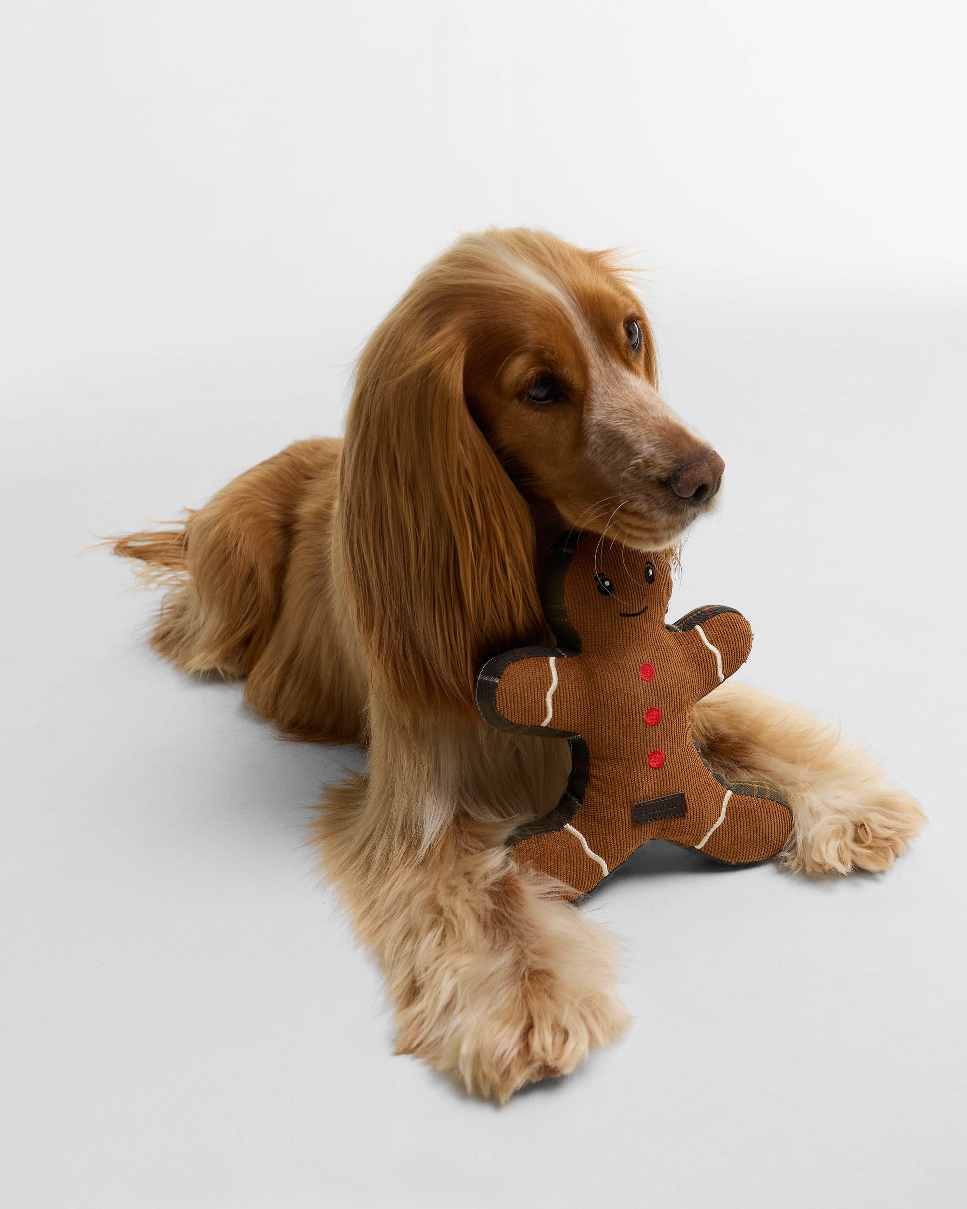 Barbour Dog Christmas Gingerbread Toy - Brown | CHO | Designer Dog Toys