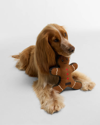Barbour Dog Christmas Gingerbread Toy - Brown | CHO | Designer Dog Toys