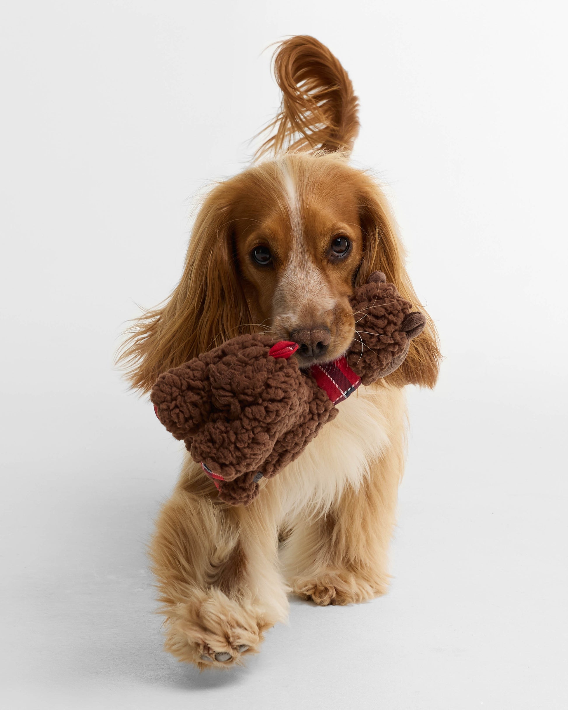 Barbour Dog Llama Toy - Brown | CHO | Designer Dog Toys