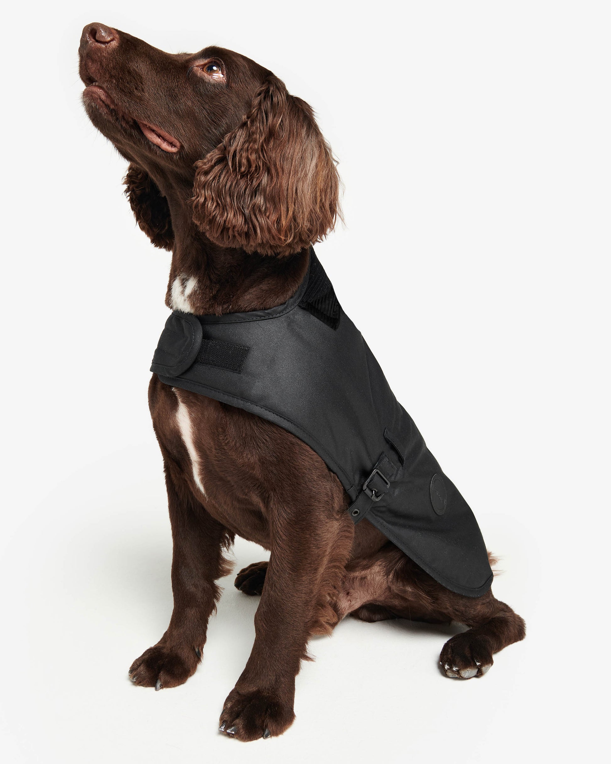 Barbour Sylkoil Wax Dog Coat - Black | CHO | Designer Dog Coats