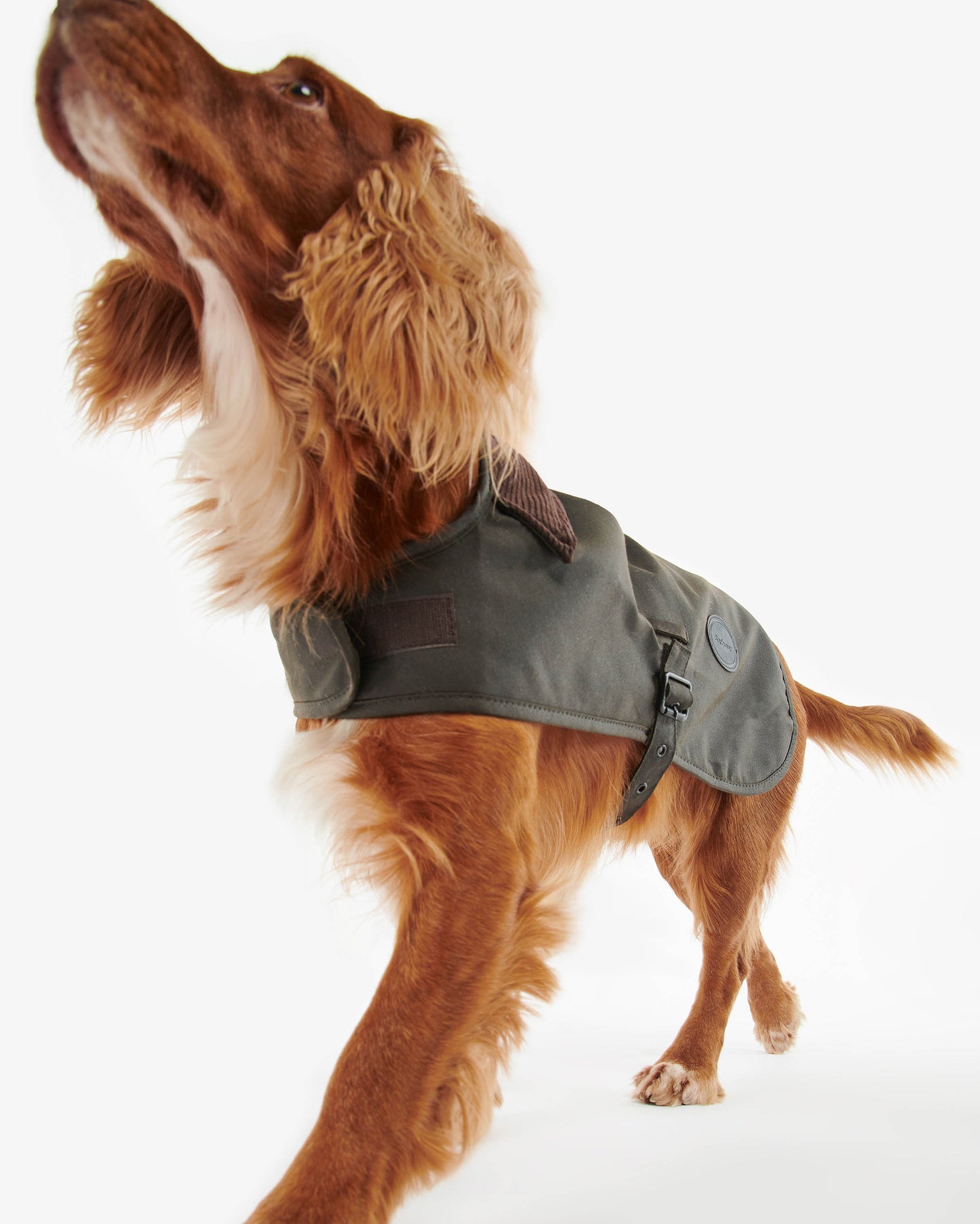 Barbour Sylkoil Wax Dog Coat - Olive | CHO | Designer Dog Coats