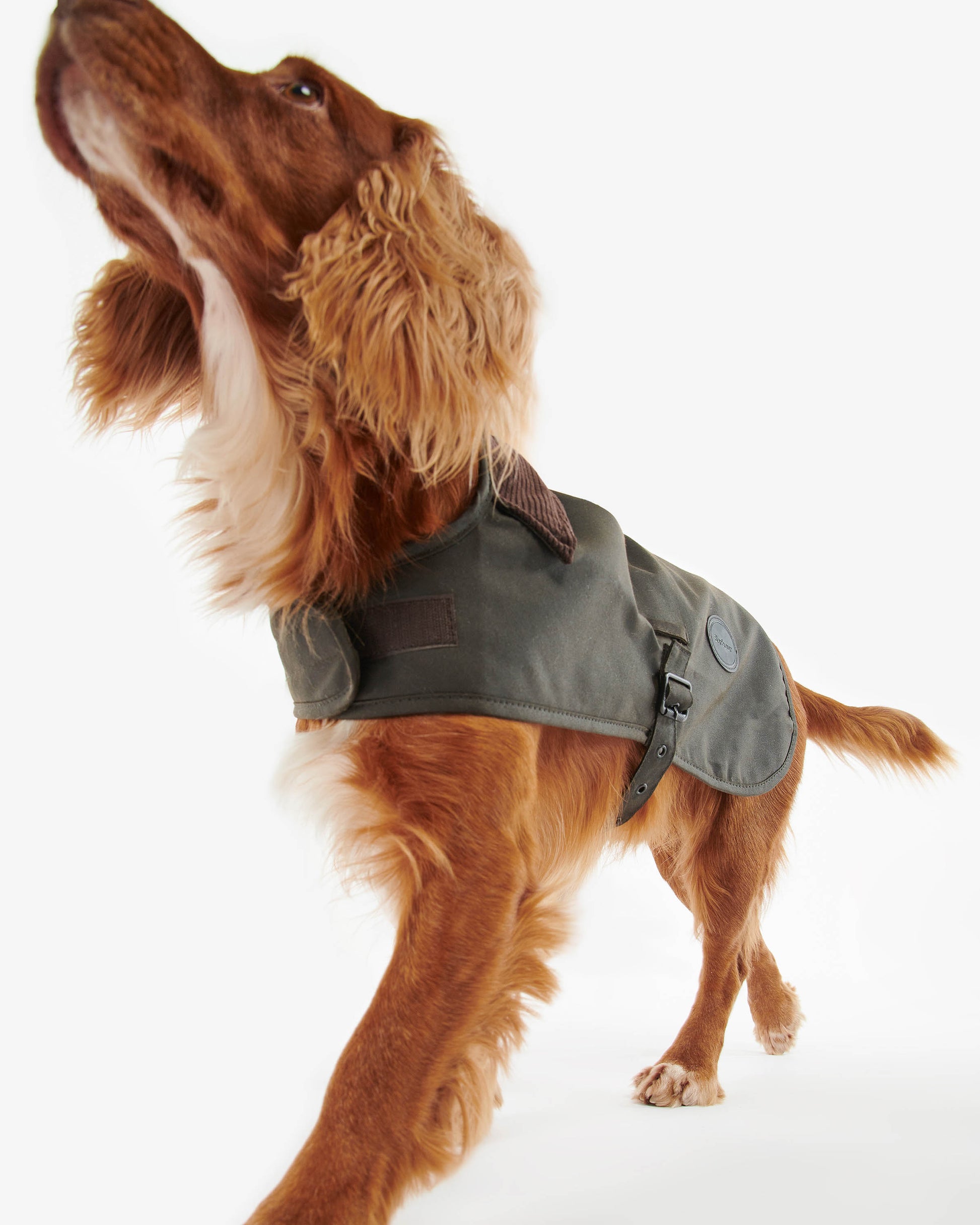 Barbour Sylkoil Wax Dog Coat - Olive | CHO | Designer Dog Coats