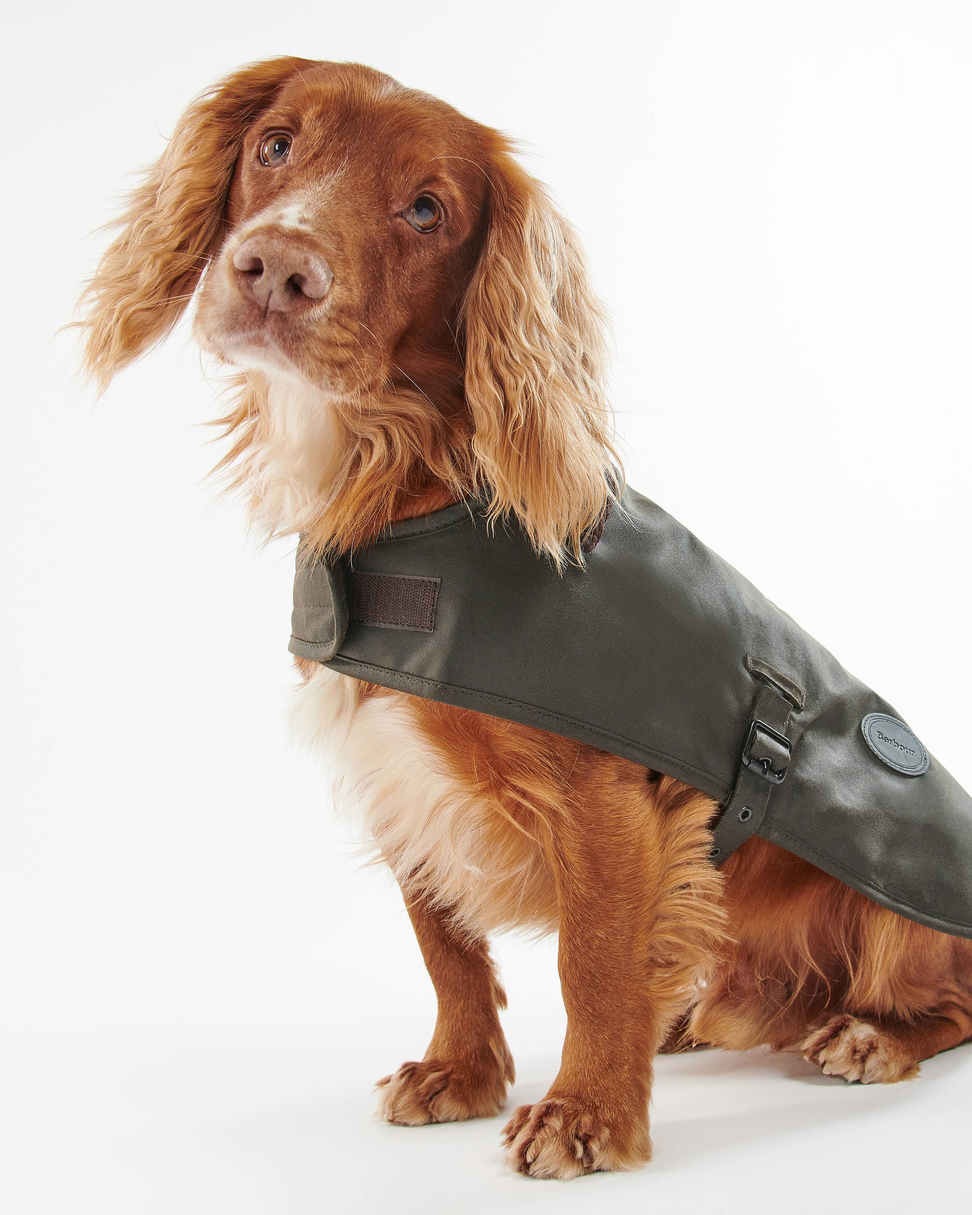 Barbour Sylkoil Wax Dog Coat - Olive | CHO | Designer Dog Coats