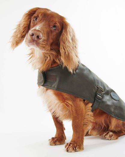 Barbour Sylkoil Wax Dog Coat - Olive | CHO | Designer Dog Coats