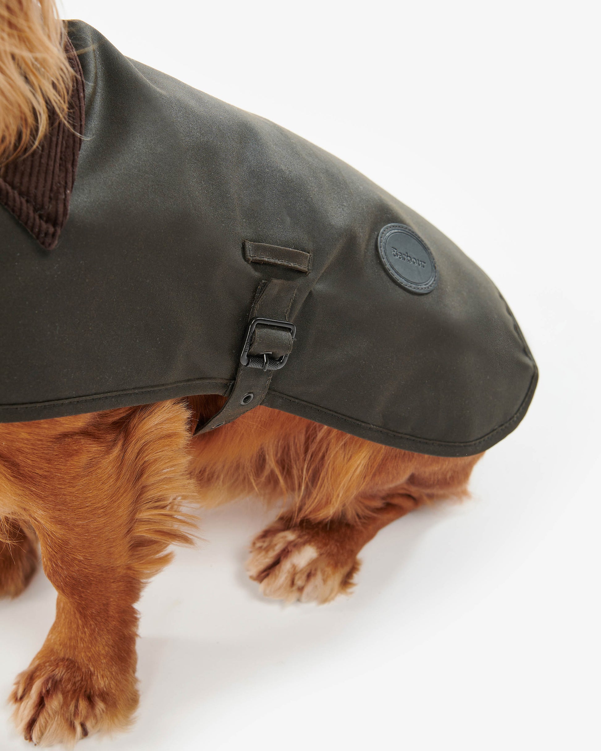 Barbour Sylkoil Wax Dog Coat - Olive | CHO | Designer Dog Coats