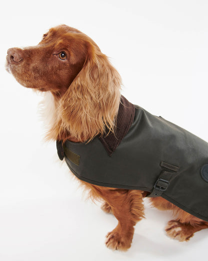 Barbour Wax Dog Coat - Olive | CHO | Designer Dog Coats