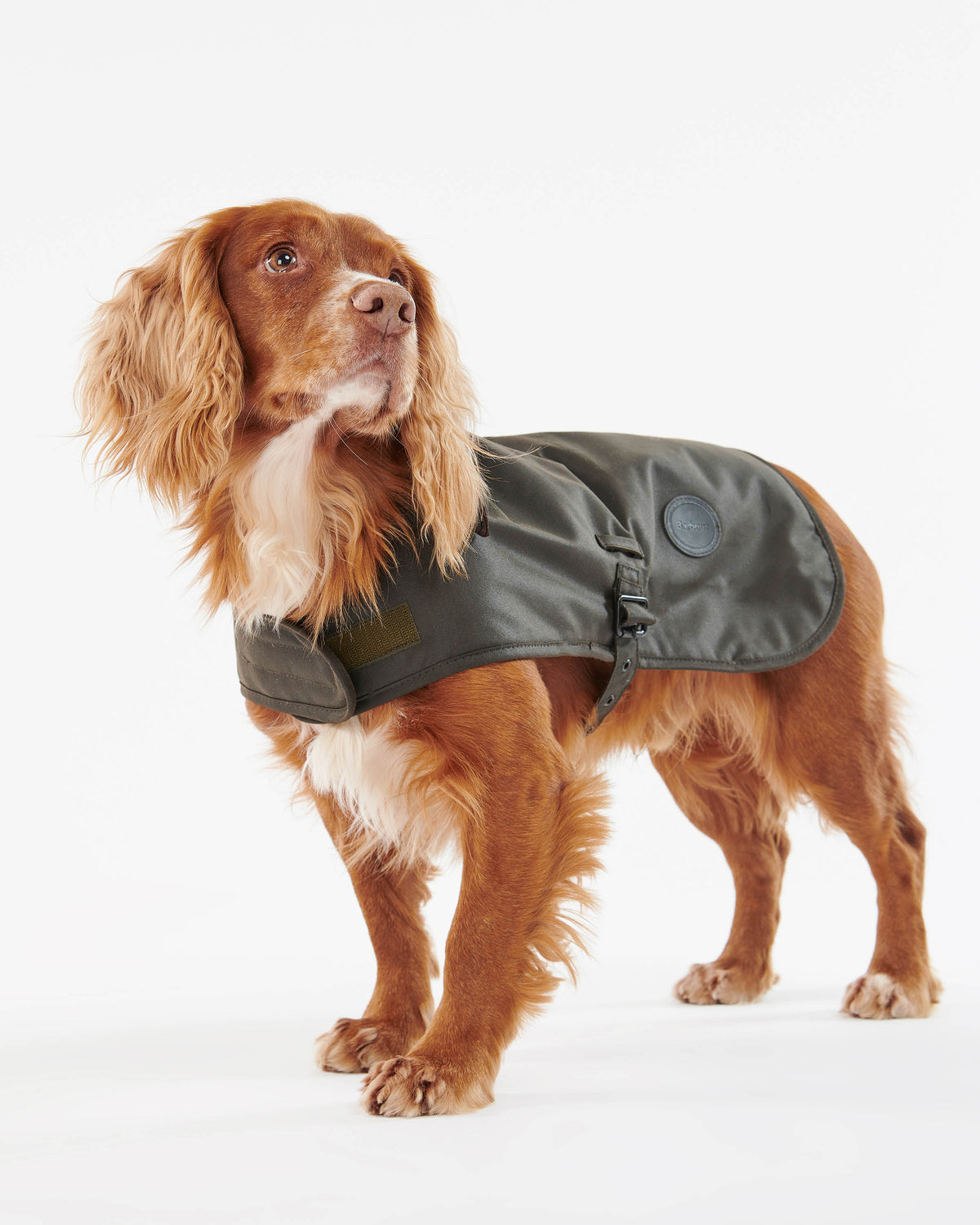 Barbour Wax Dog Coat - Olive | CHO | Designer Dog Coats
