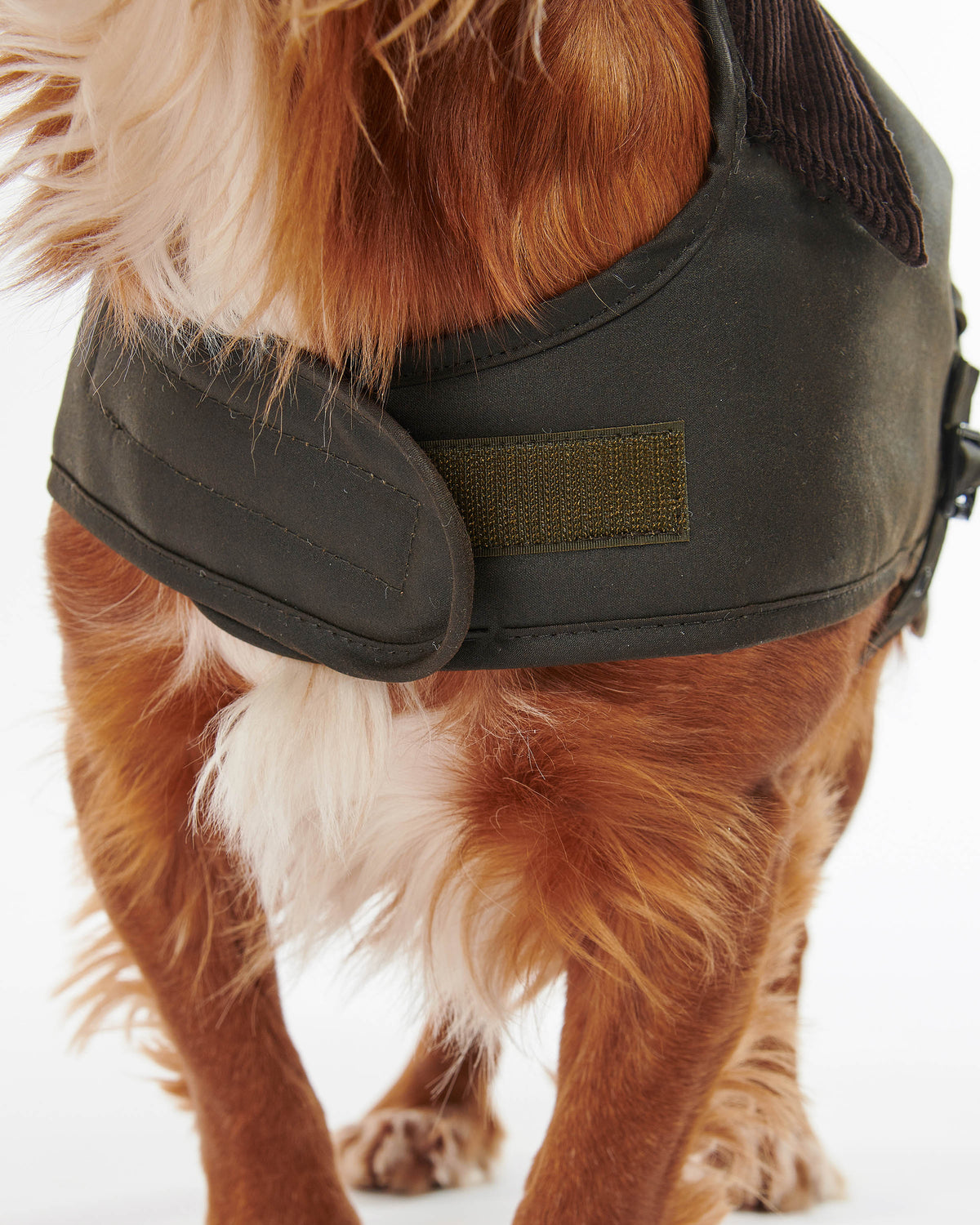 Barbour Wax Dog Coat - Olive | CHO | Designer Dog Coats