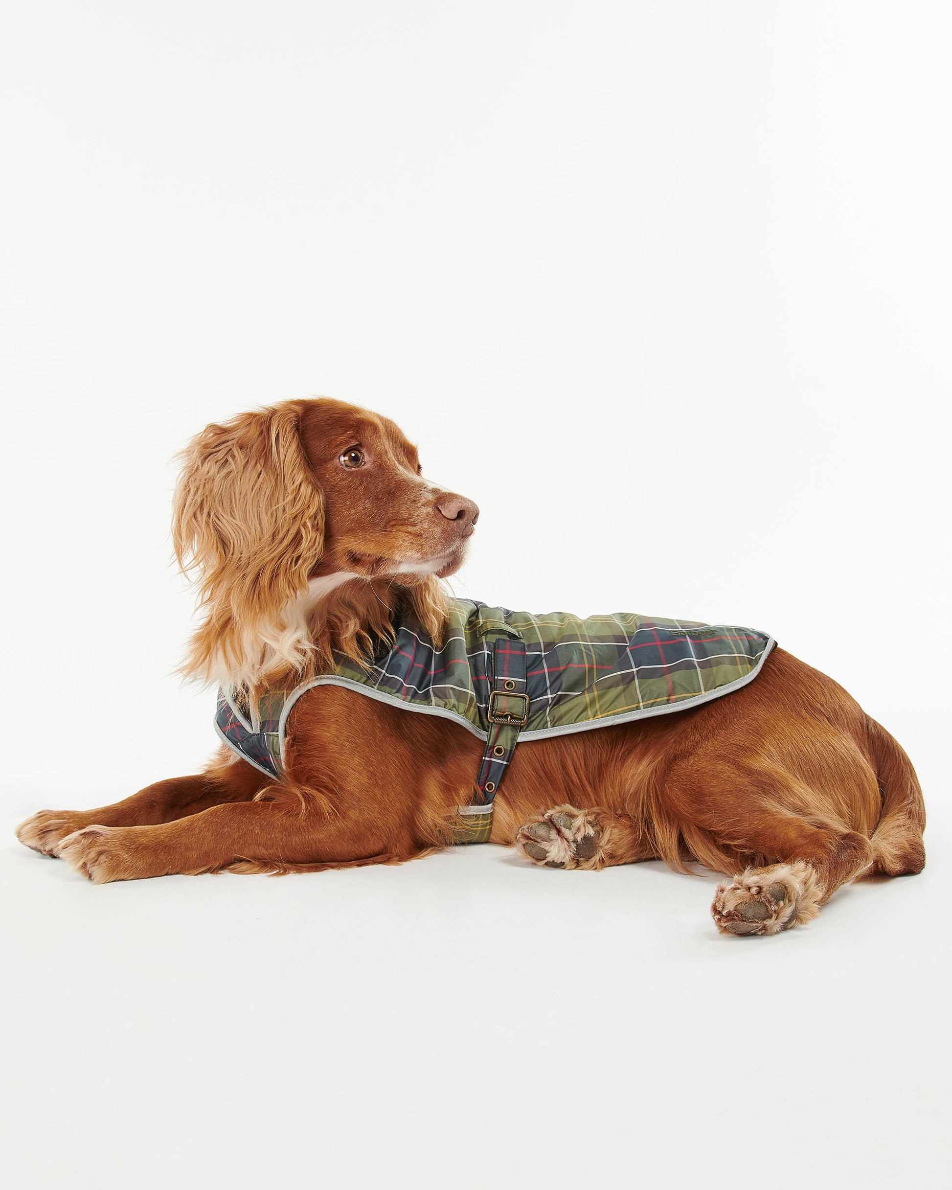 Barbour Tartan Waterproof Dog Coat - Classic Tartan | CHO | Designer Dog Coats