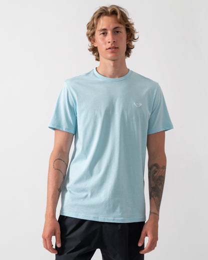 model wearing an Emporio Armani Mens Beach T-Shirt with Eagle Logo in Sky