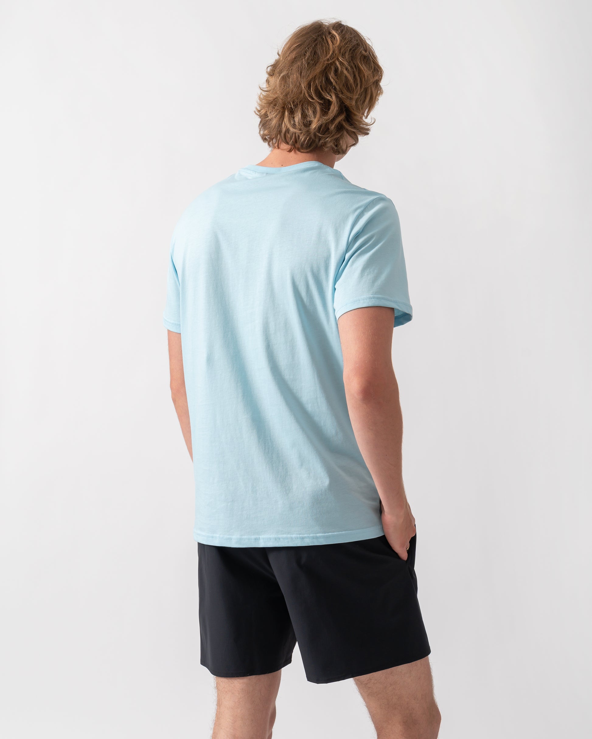 back shot of a  model wearing an Emporio Armani Mens Beach T-Shirt with Eagle Logo in Sky