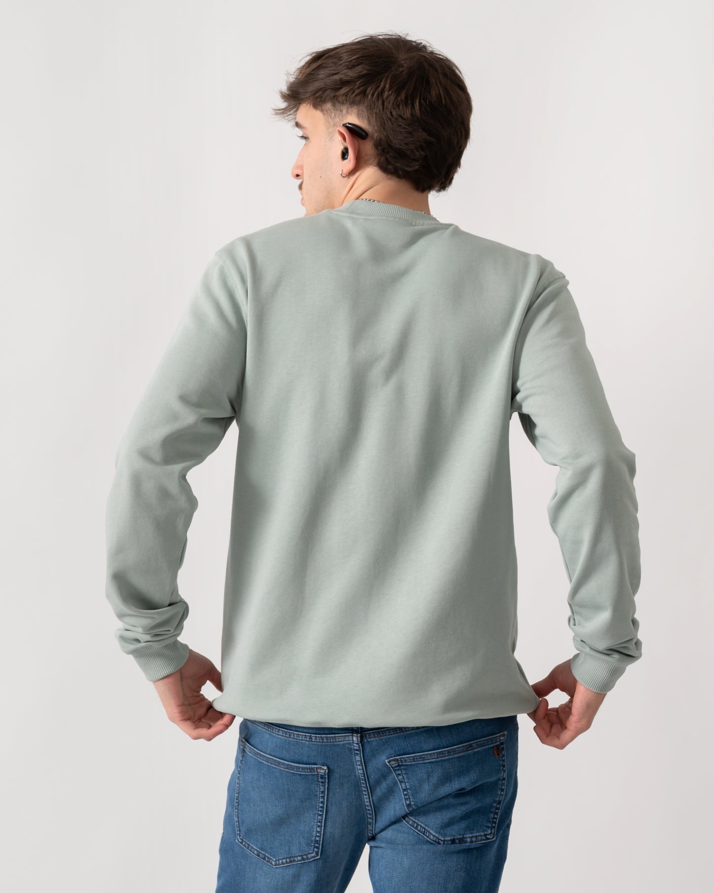 back shot of a model wearing a Fjallraven 1960 Logo Badge Mens Sweatshirt in Misty Green 674