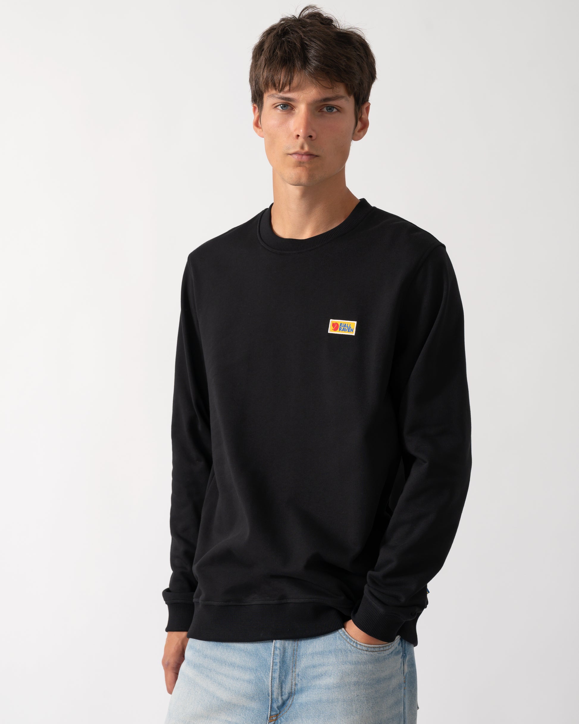 Model wearing a Fjallraven Vardag Mens Sweater in Black 550