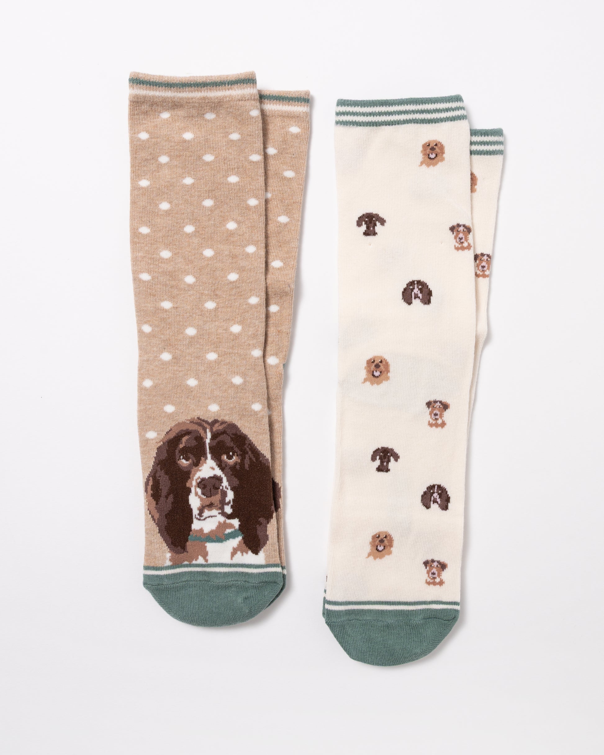 Joules Everyday 2 Pack Womens Socks in Neutral Spaniel