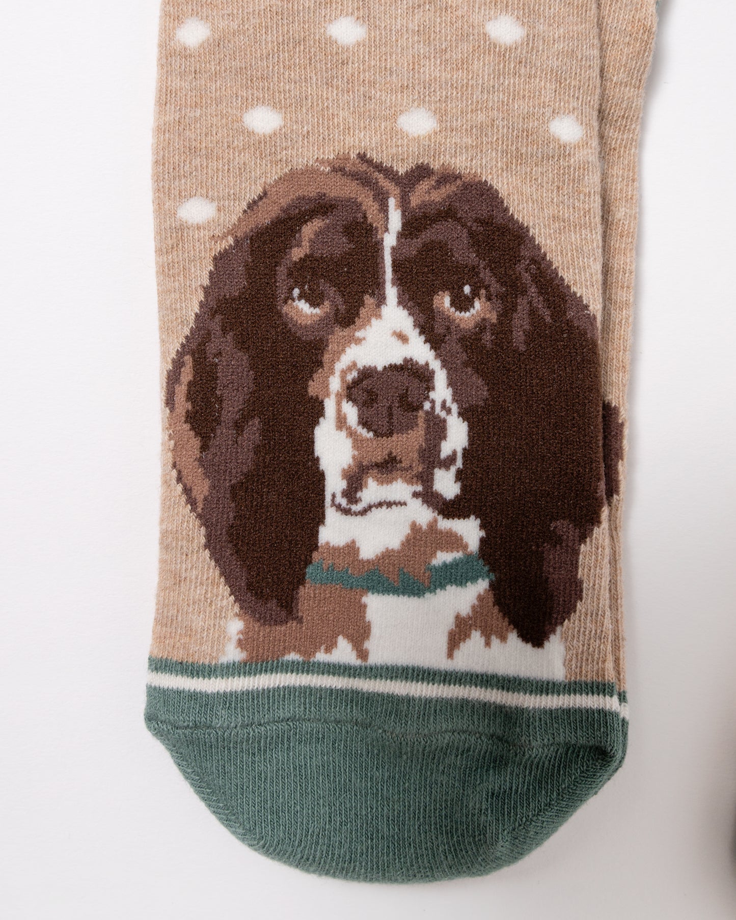 detail of Joules Everyday 2 Pack Womens Socks in Neutral Spaniel