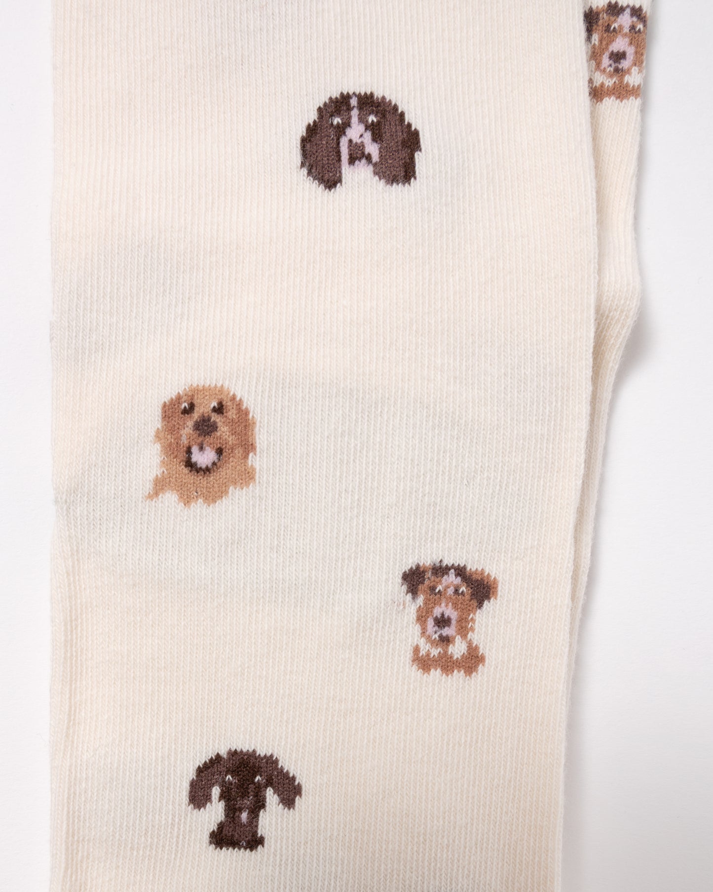 detail close up of Joules Everyday 2 Pack Womens Socks in Neutral Spaniel