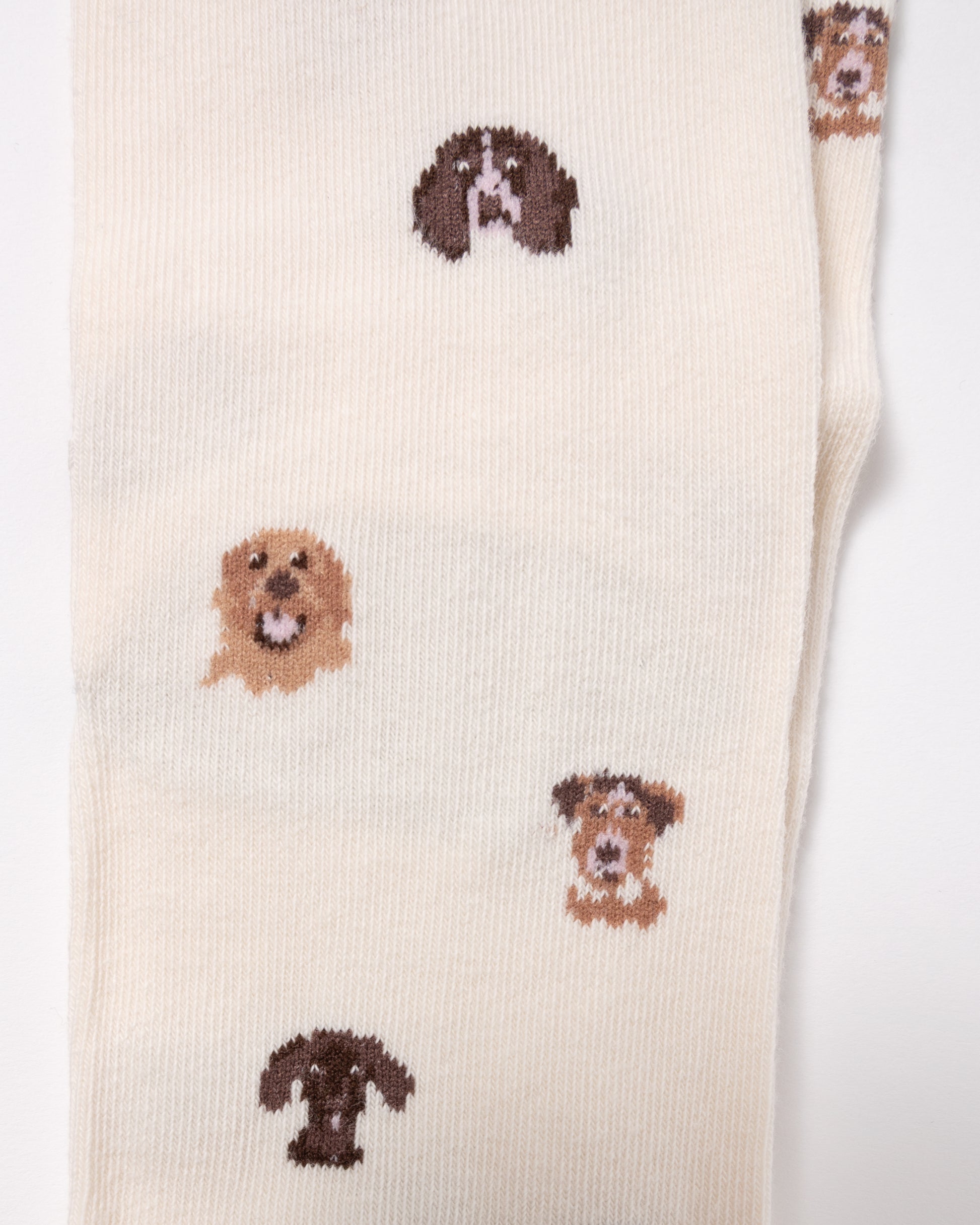 detail close up of Joules Everyday 2 Pack Womens Socks in Neutral Spaniel